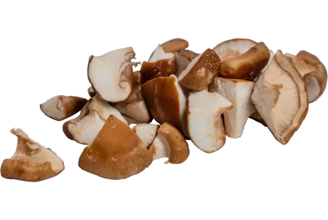 Shiitake kwart (1-4) bak 1kg kist 6 stuks